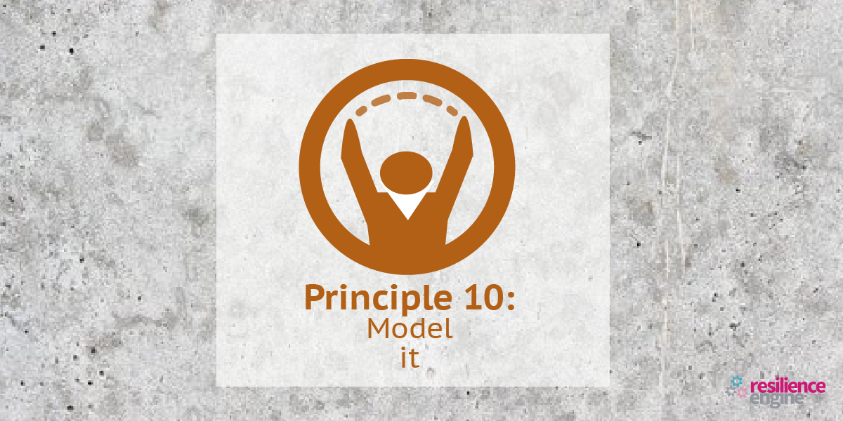 Principle 10, enabling resilience, resilience engine, jenny campbell