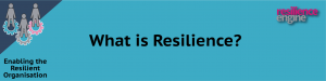 Resilience Engine, Resilience Engine Publications, Resilience Engine New Blog Post, What is Resilience