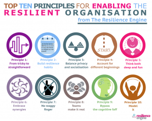 balance privacy, TOP TEN PRINCIPLES FOR ENABLING, RESILIENT ORGANISATION, resilience engine blog, resilience engine, resilient article, resilience article, build resilience habits