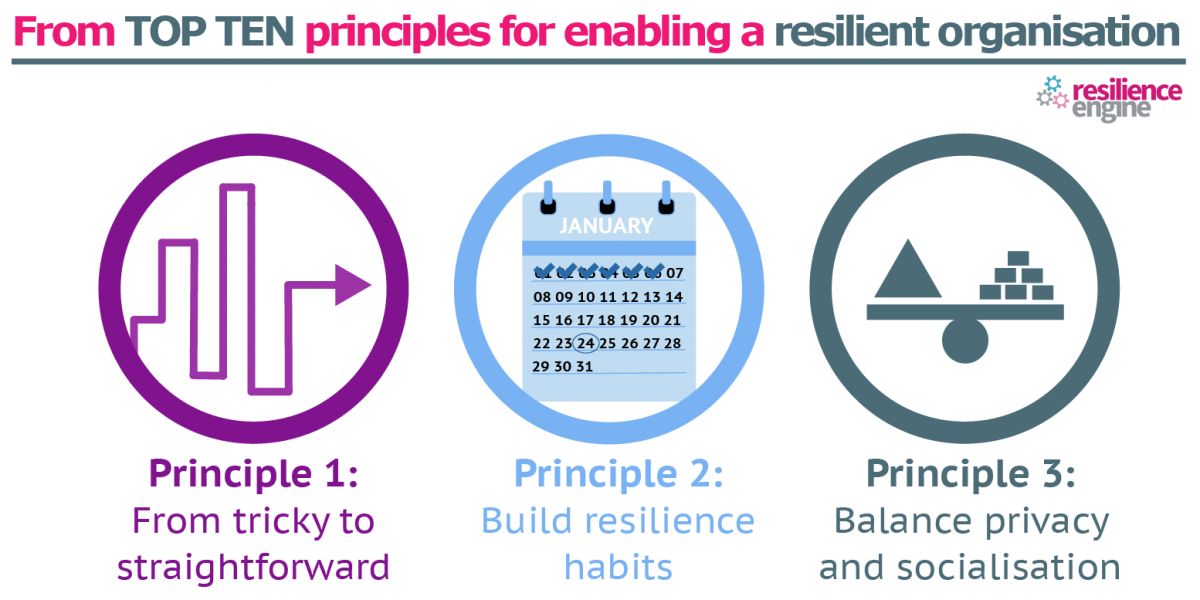 TOP TEN PRINCIPLES FOR ENABLING 1 -3-02