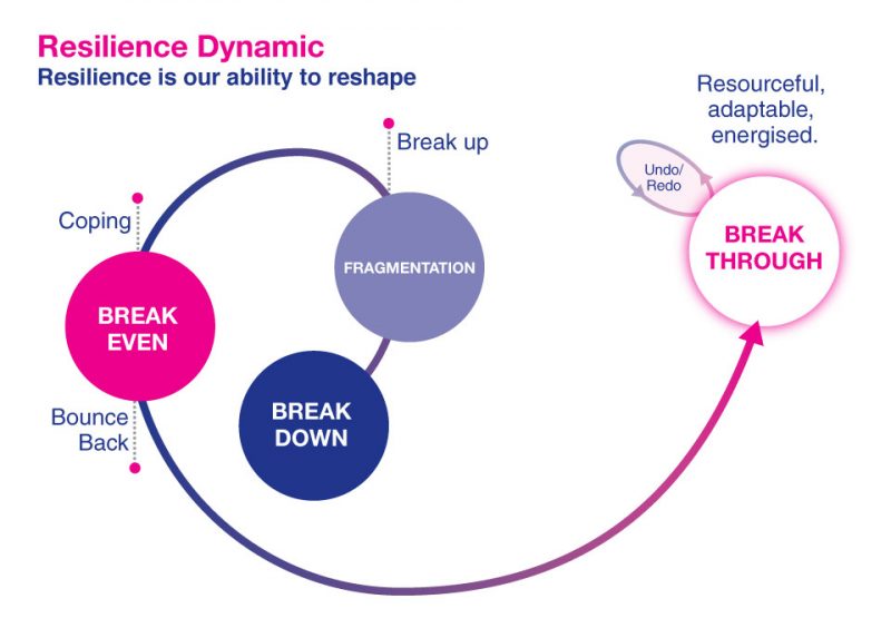 Shock Level of Demand for Resilience - The Resilience Engine