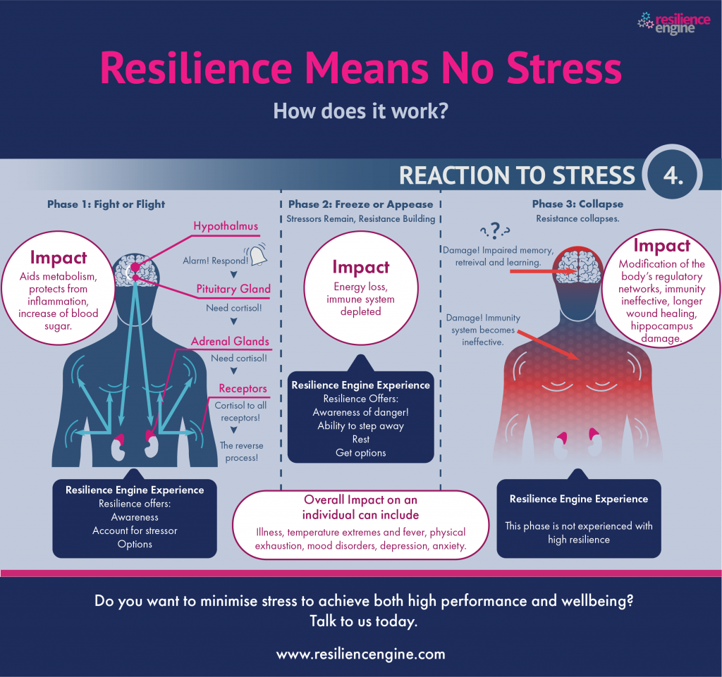 causes of stress, stress, awareness, fight the stress, how to cope