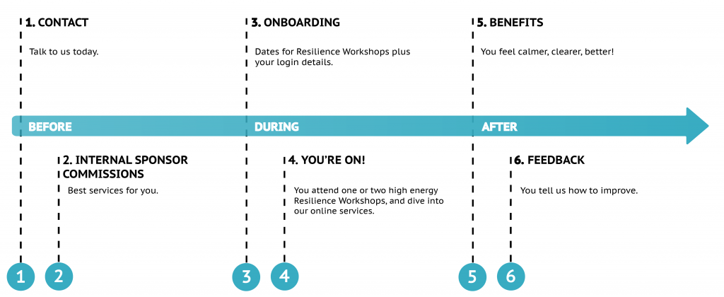 Manager and Staff Timeline - Resilience Engine - Support Organisations-04