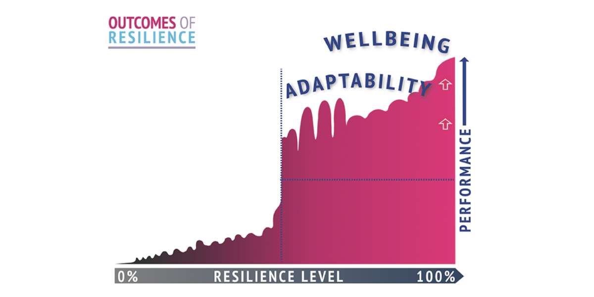 Outcomes-of-Resilience2